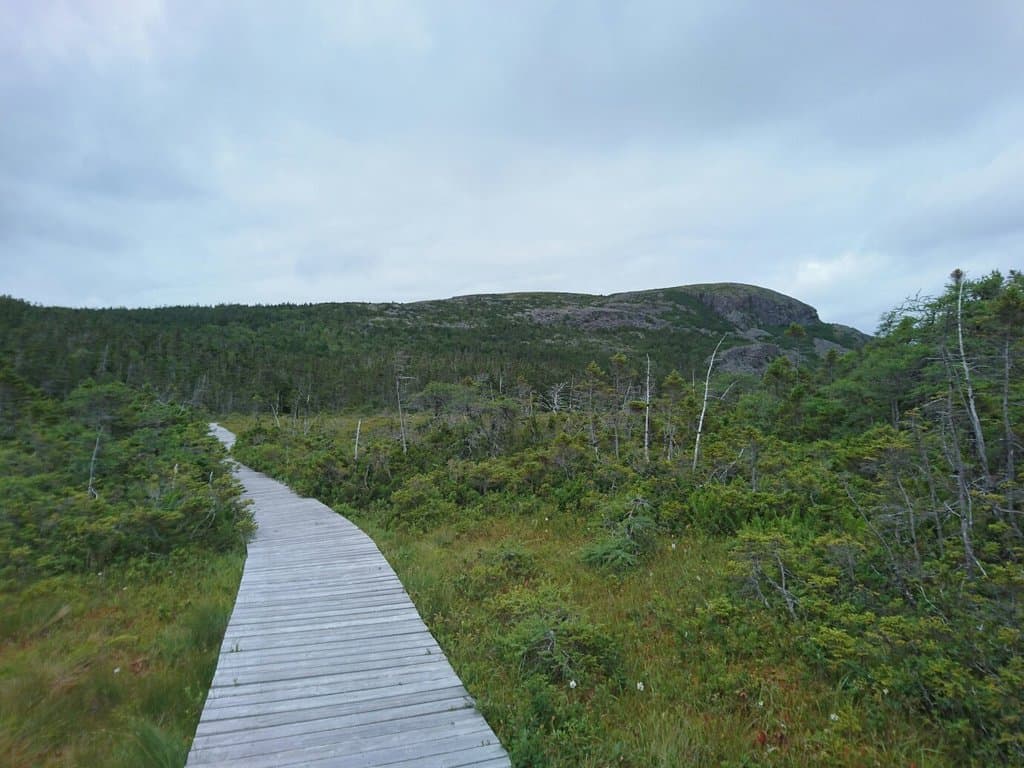 Butter Pot Provincial Park
