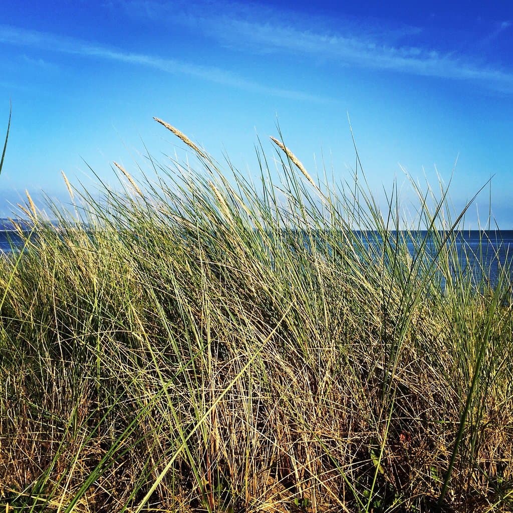 Blackpill Lido Swansea