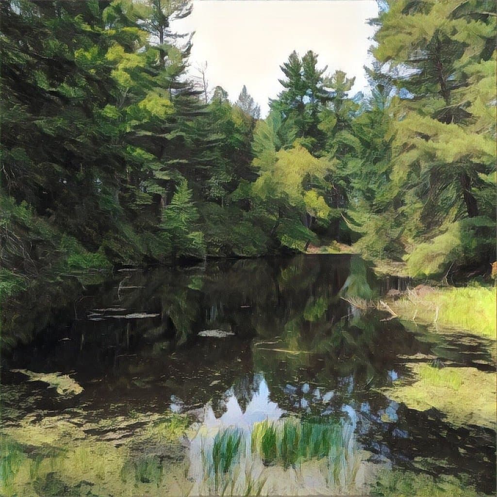 Maudslay State Park