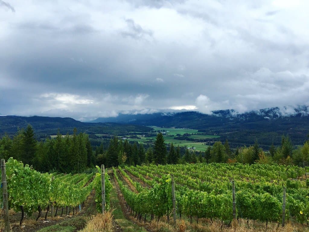 Larch Hills Winery