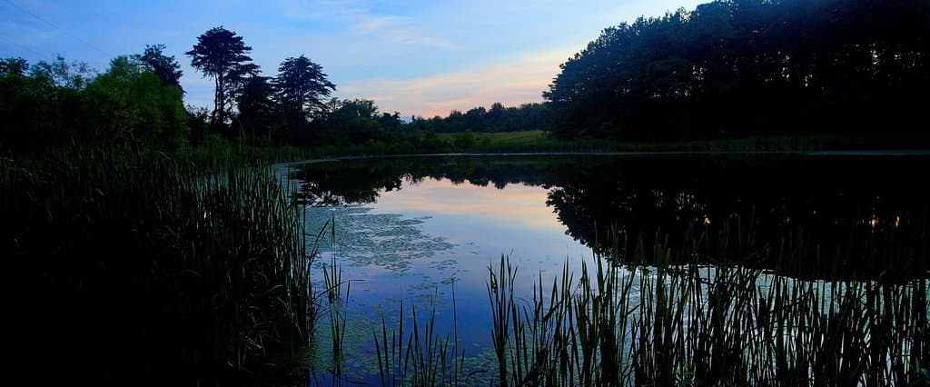 Green Ridge State Forest Maryland