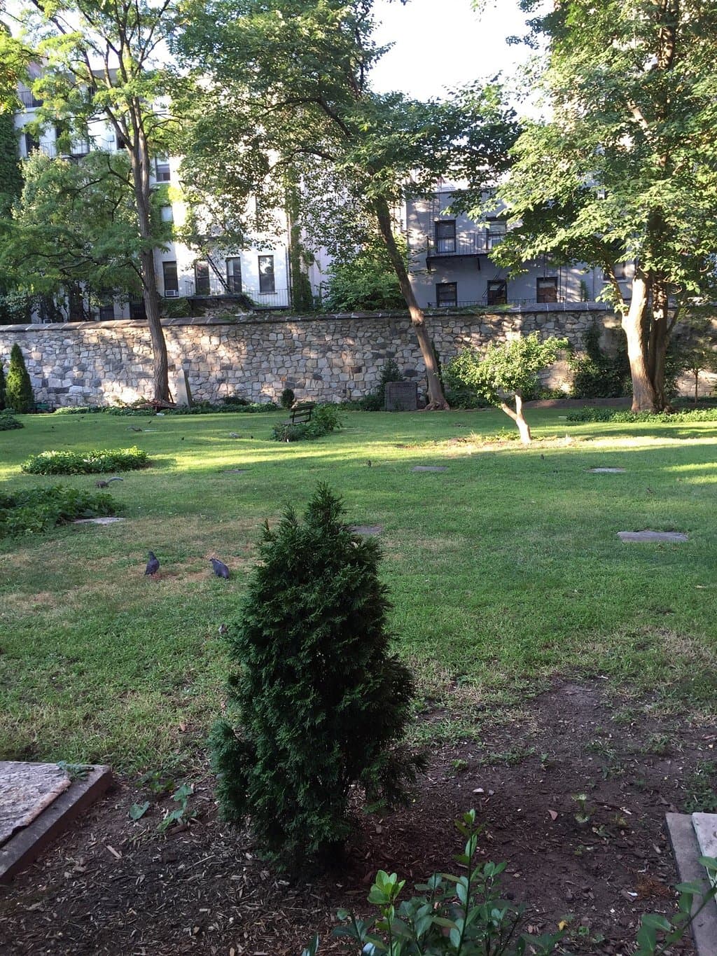 Visit the New York Marble Cemetery