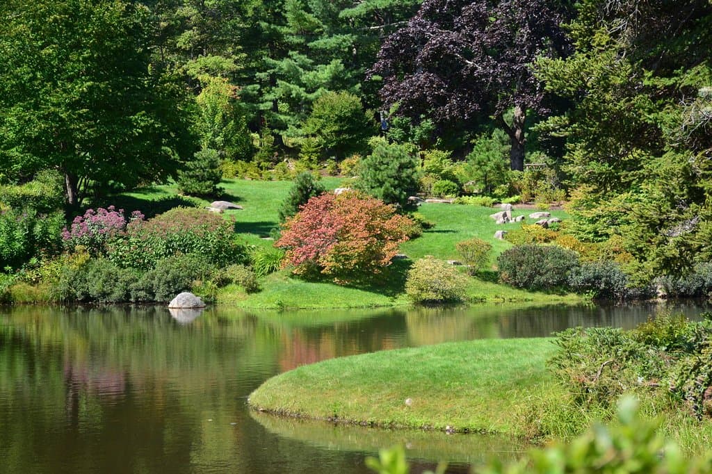 Walking through the Azalea Garden