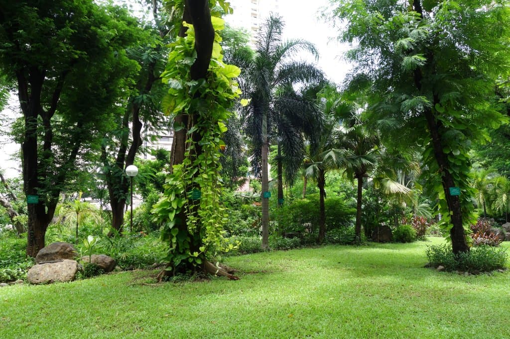Washington SyCip Park