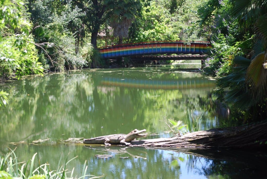 Louis Park