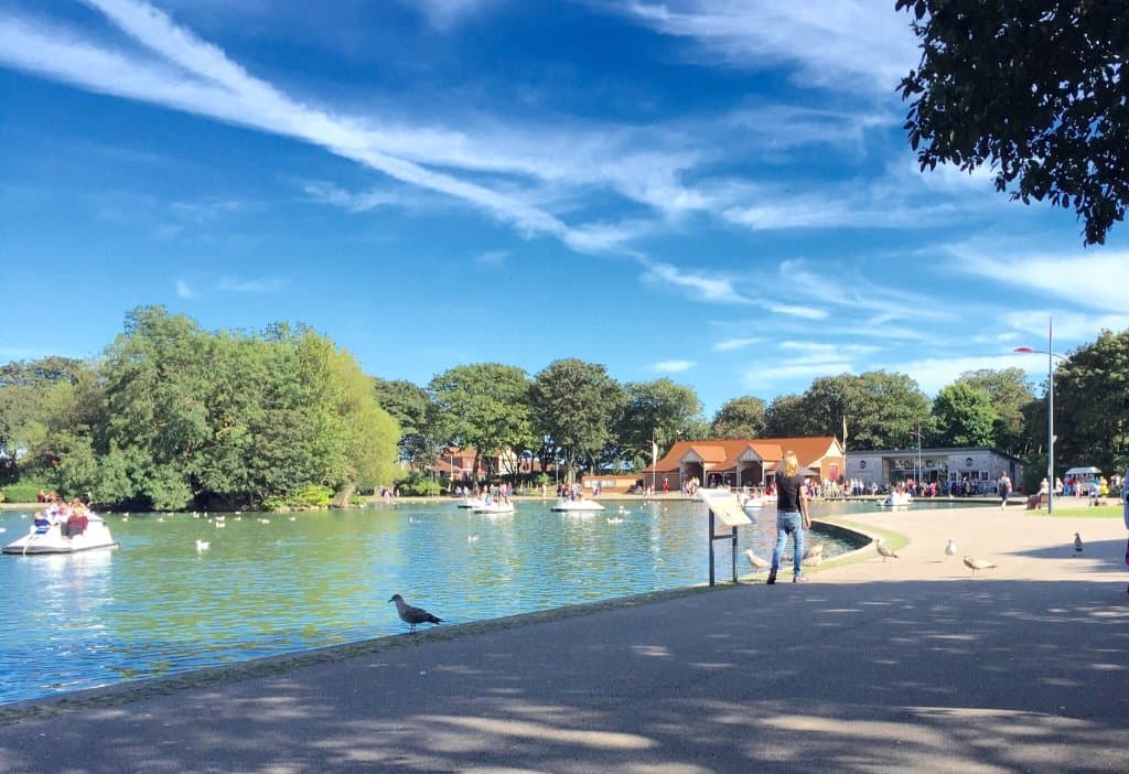 A day at South Shields park