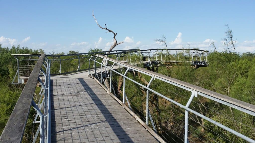 Views around the park