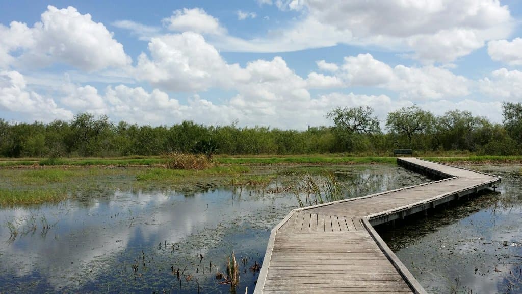 Views around the park