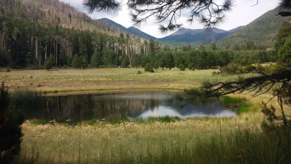 Lockett Meadow, AZ: Lockett Meadow stock tank, Humphreys and Agassiz peaks