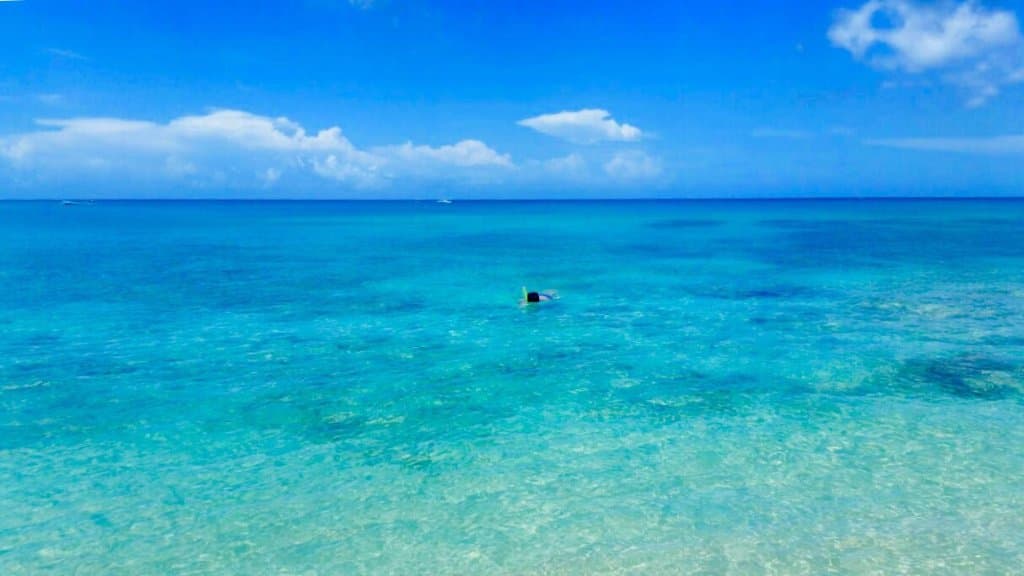 Paynes Bay Beach