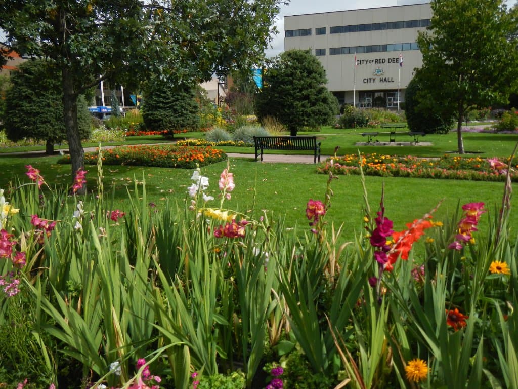 Park 1