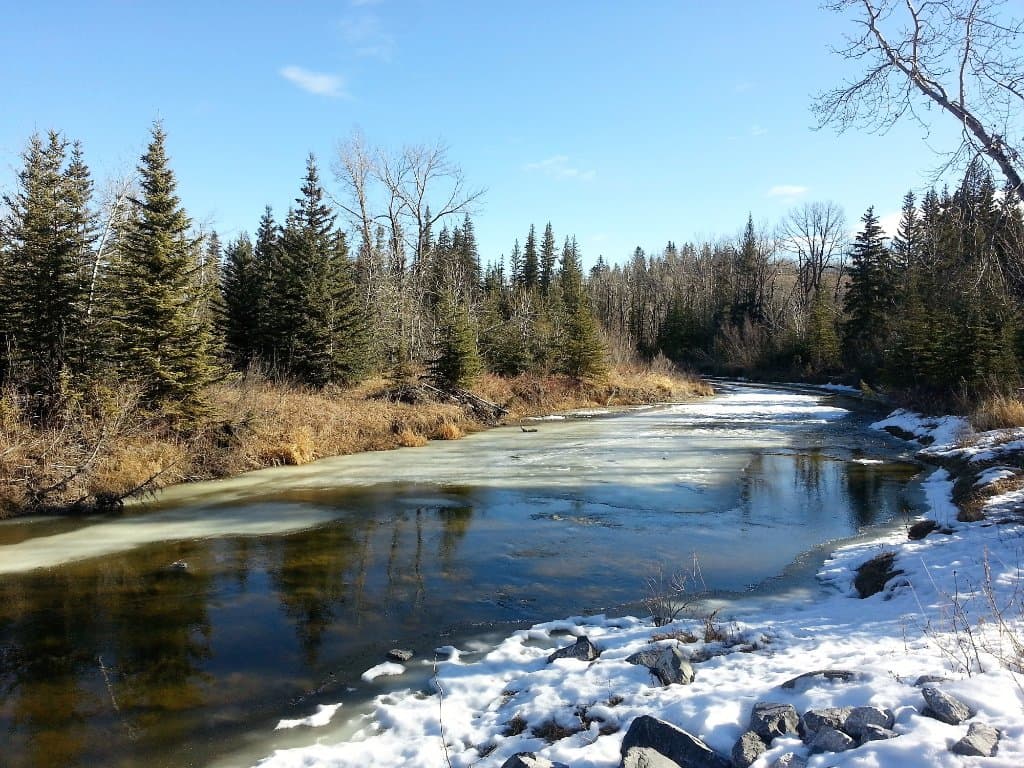 Fish Creek Park, west of Elbow Drive.