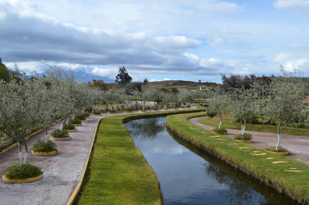 Perfecto para caminar entre amigos o parejas
