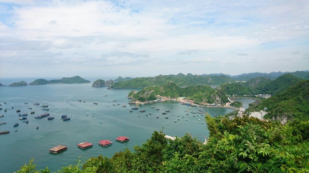 Cannon Fort Cat Ba