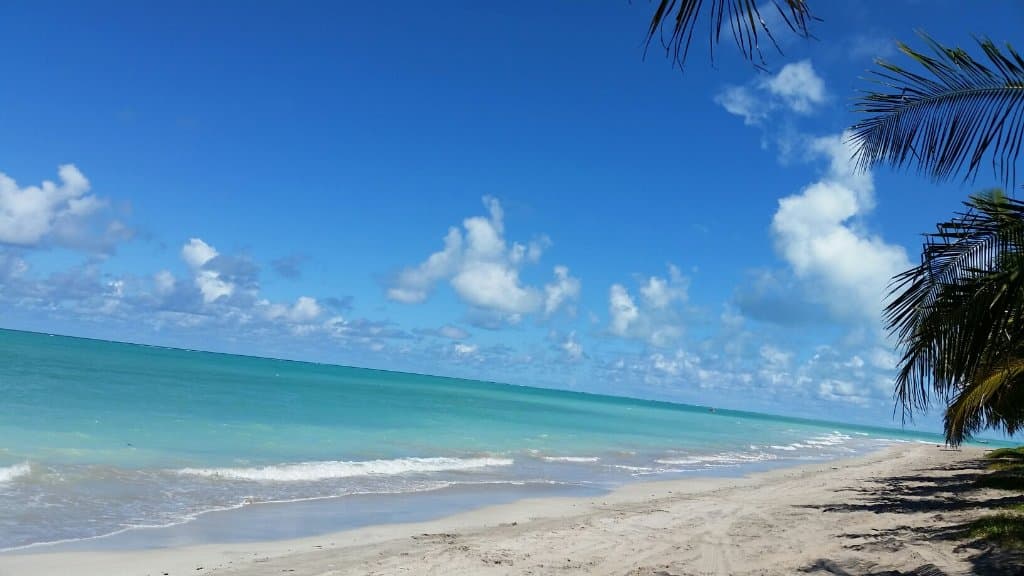 Xaréu Beach Praia da Bruna
