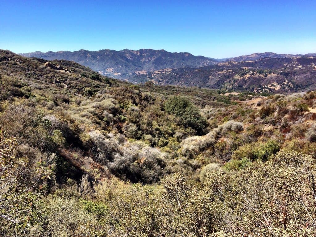 Topanga State Park Los Angeles