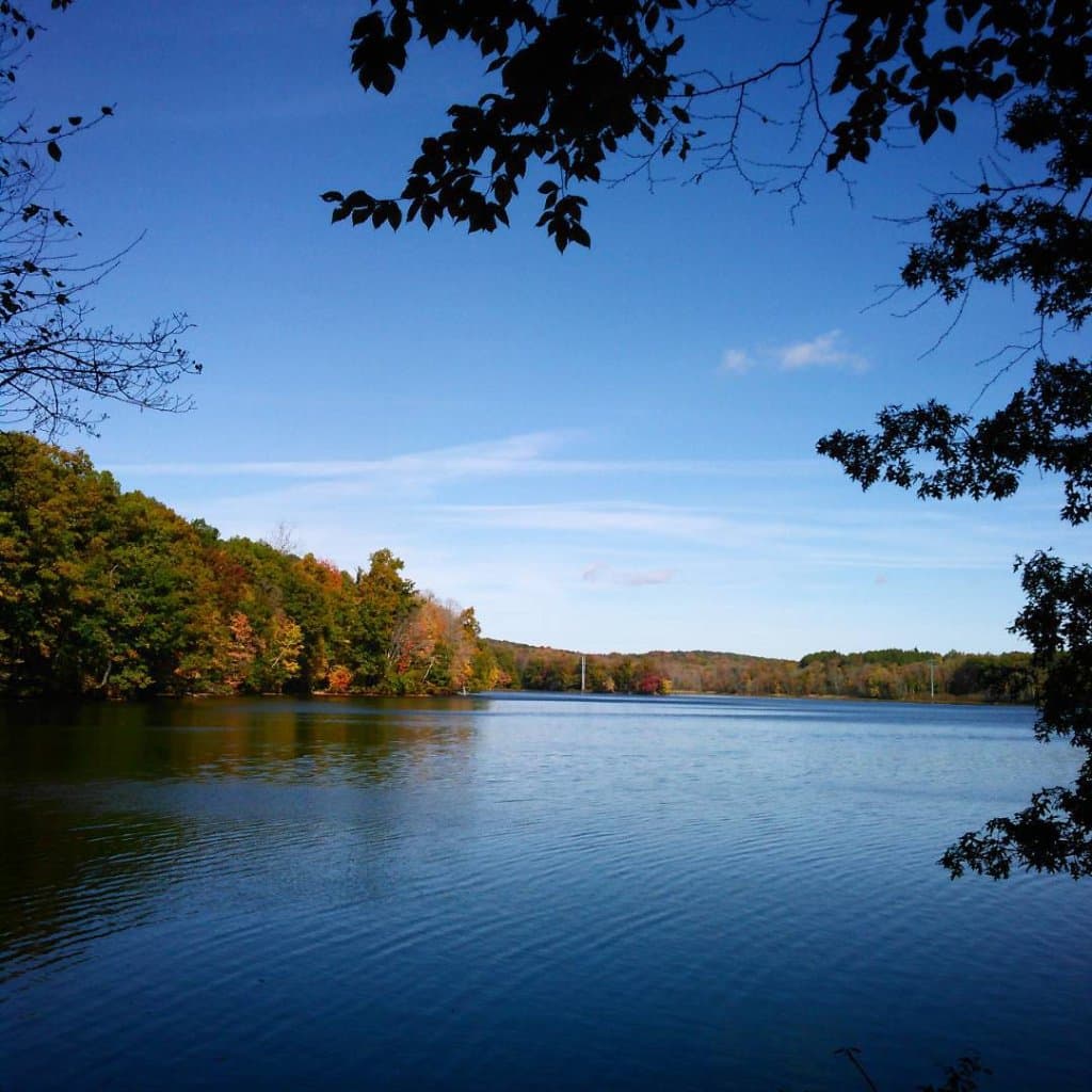 Autumn 2015