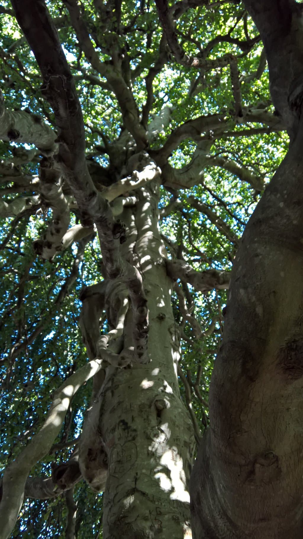Captain Bangs Hallet House Museum