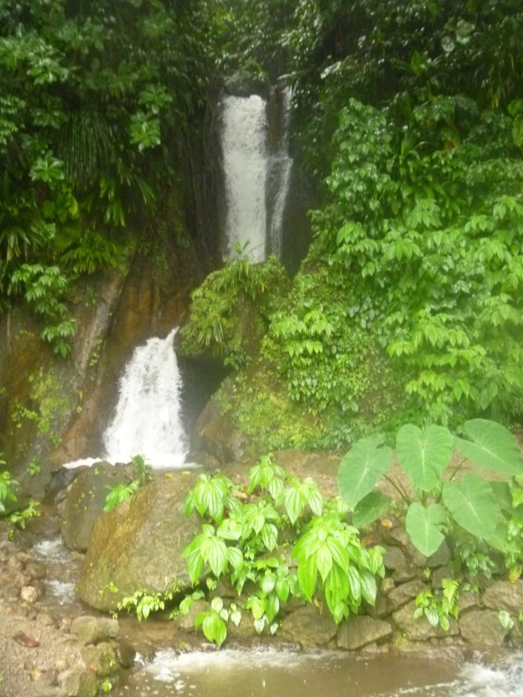 Cascade