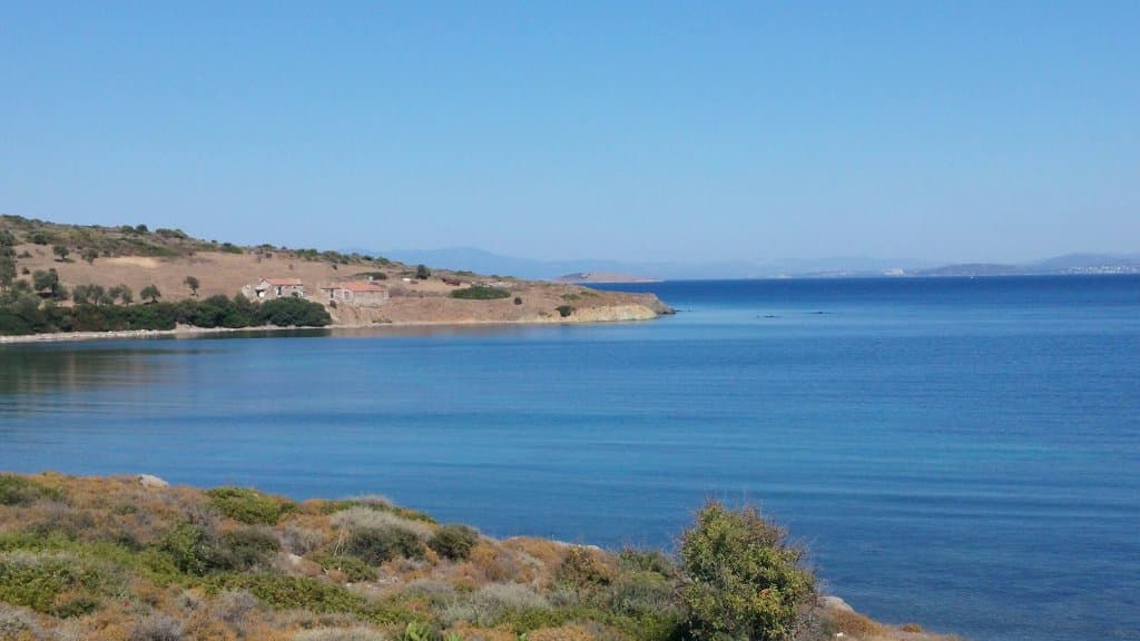 Paterica Peninsula