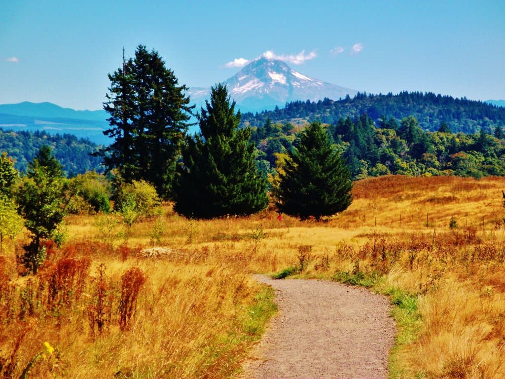 Mount Hood