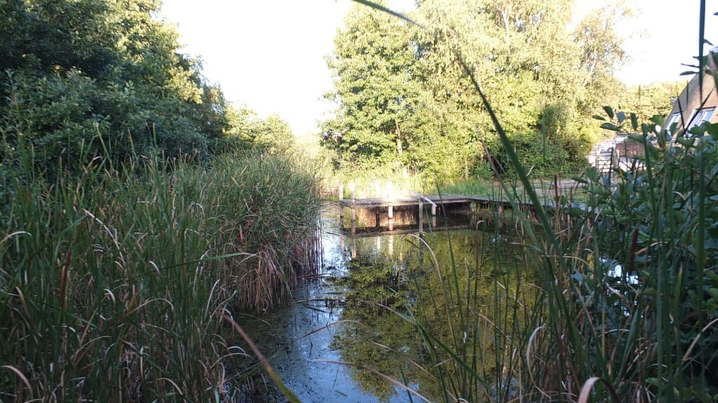 Shorne Country Park