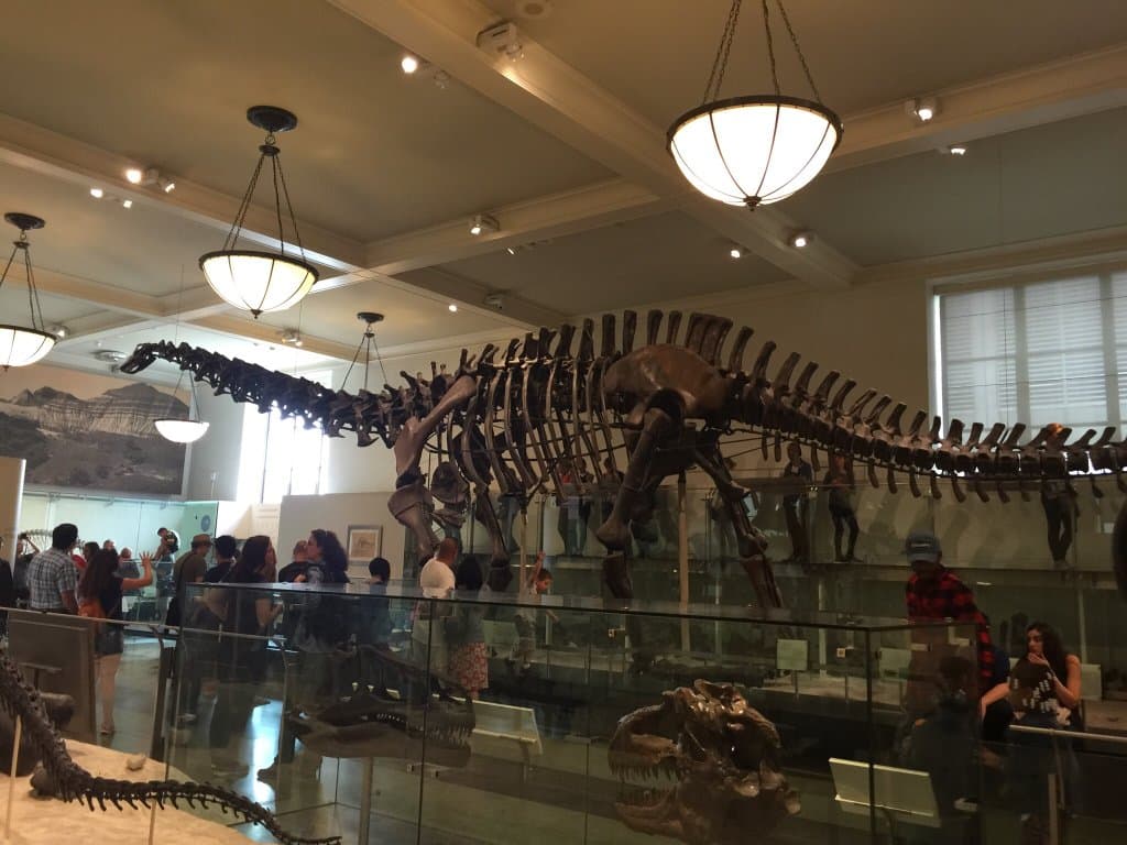 Visit the Math Museum (MoMath)