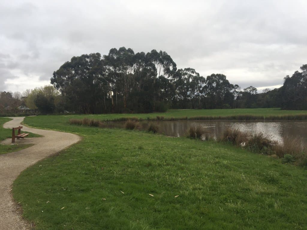 Another great wetlands in the suburbs