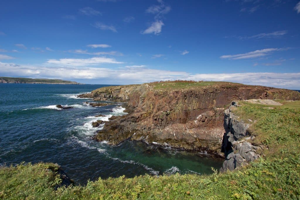 Puffin Home Island