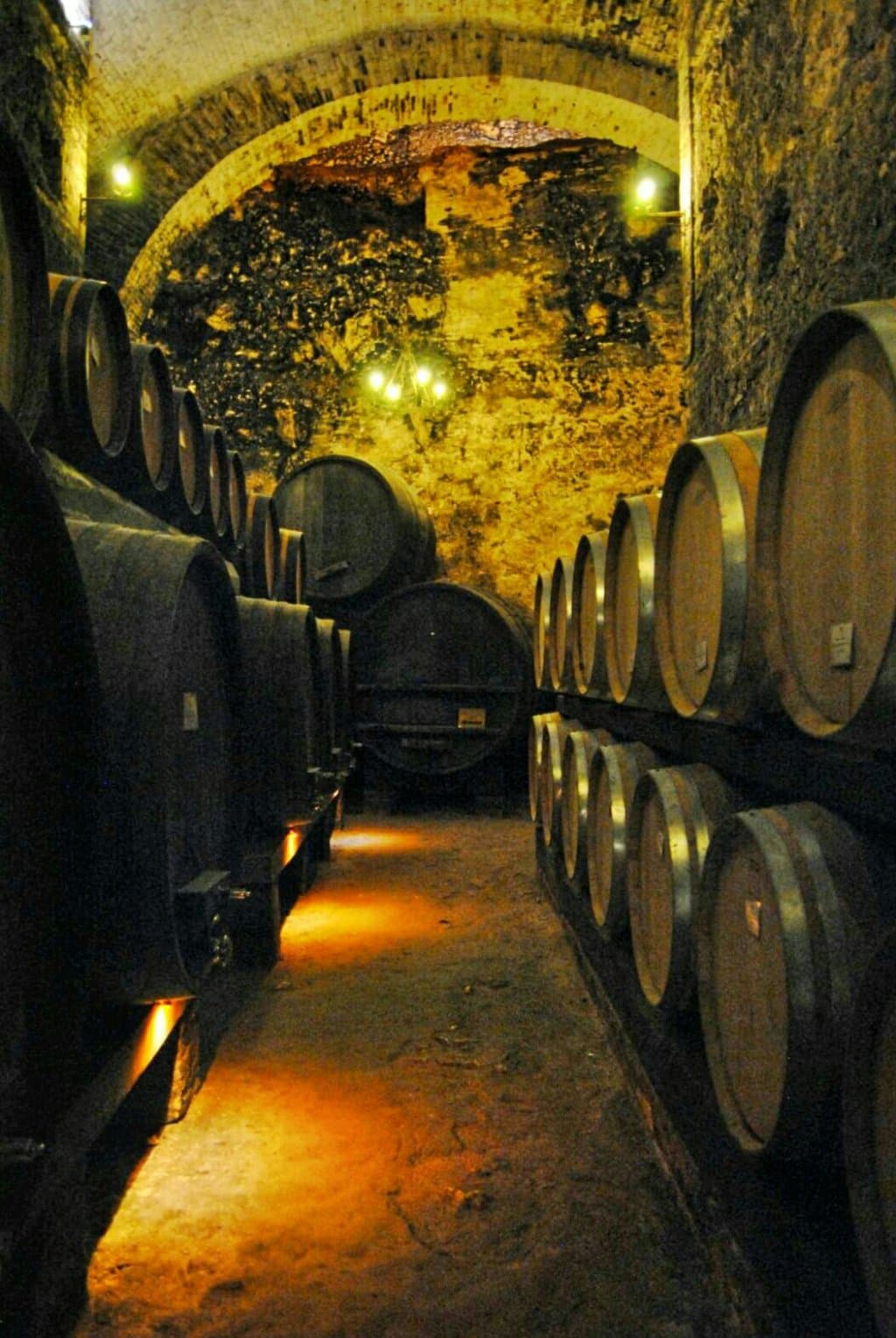 Cantine Dei