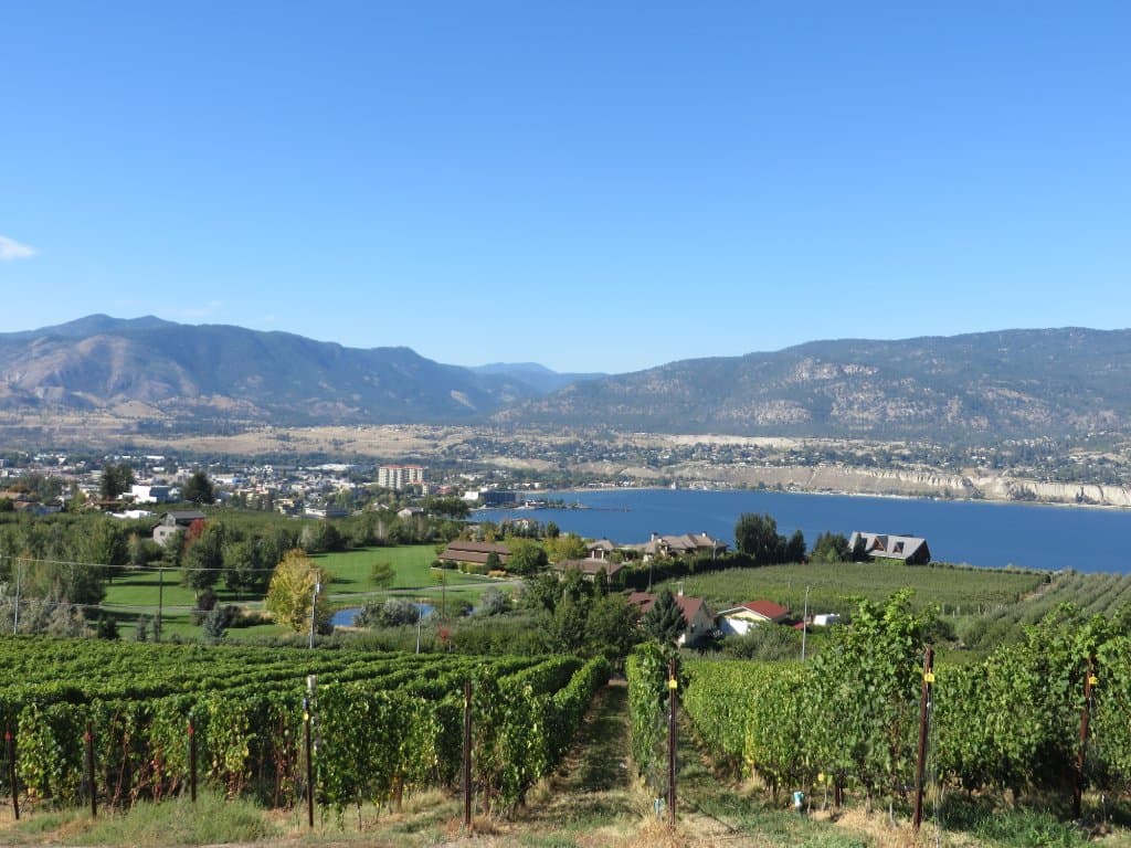 The view from the walkway to tasting room