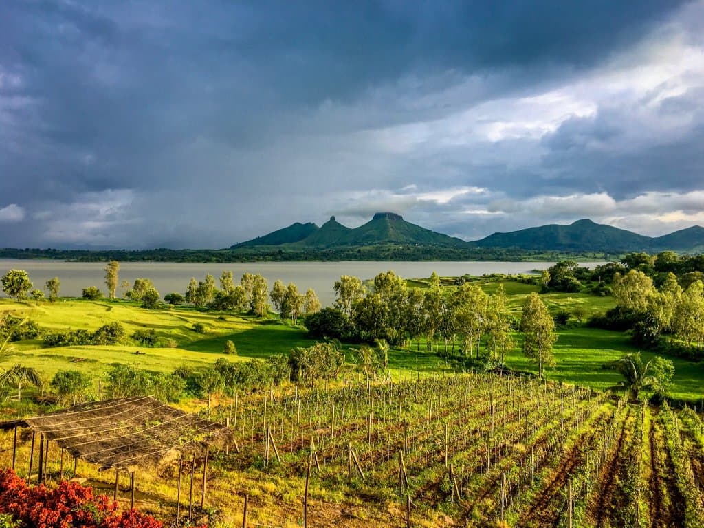 Vallonné Vineyards