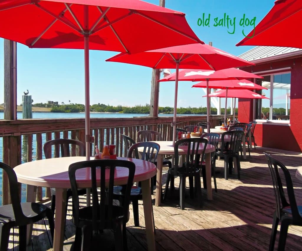 The Old Salty Dog