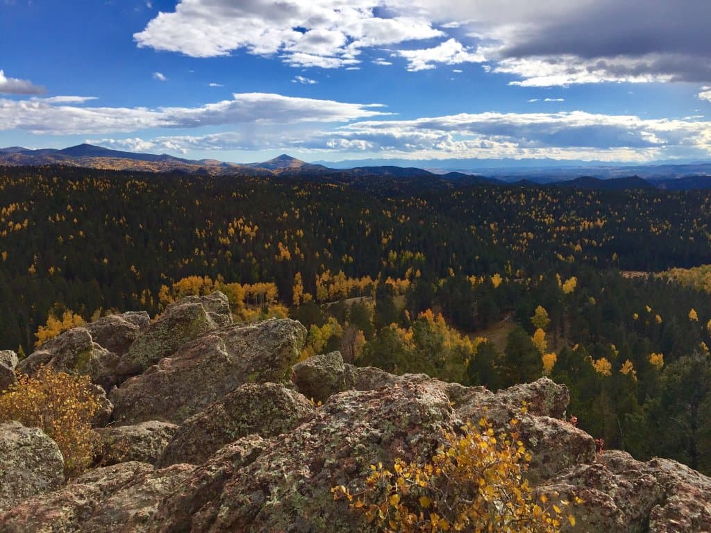 Mueller State Park