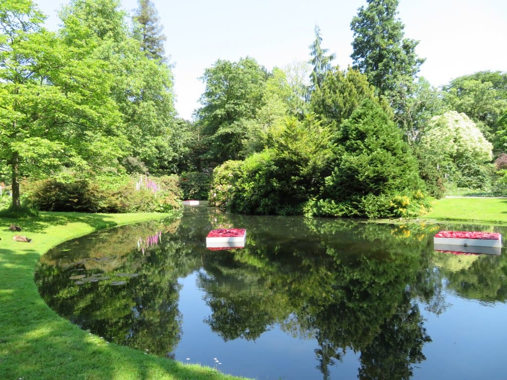 Arboretum