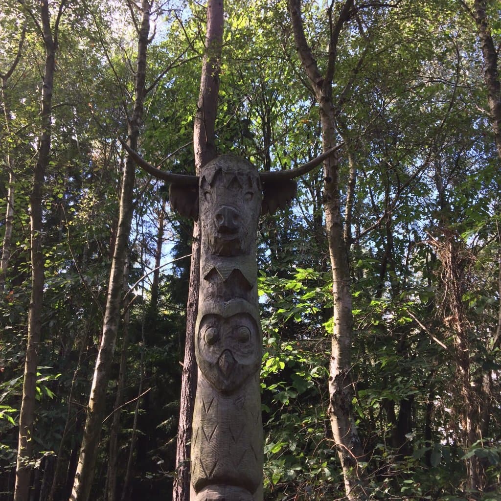 Ancient Blean woods