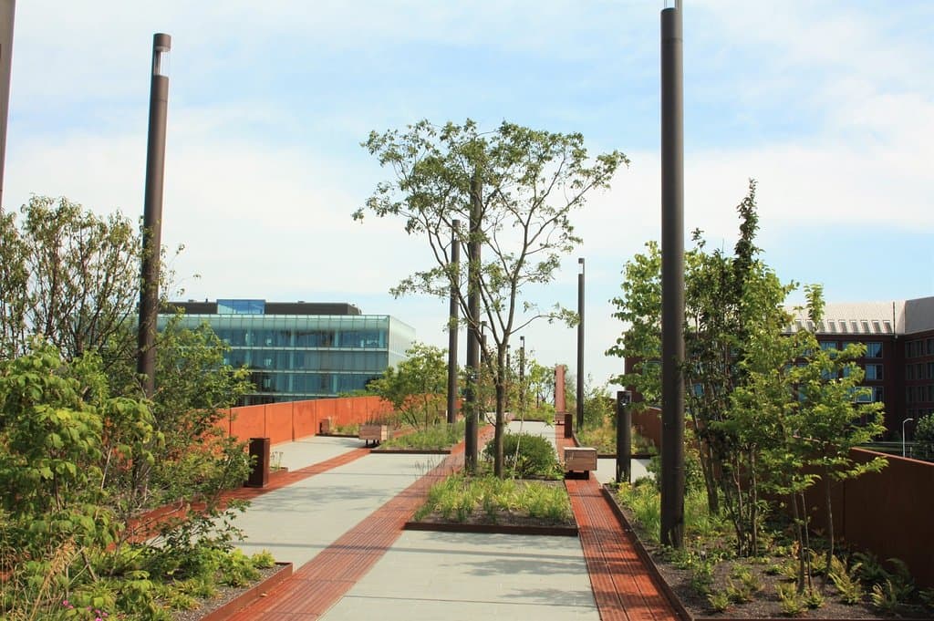 Eeen brug met boompjes.