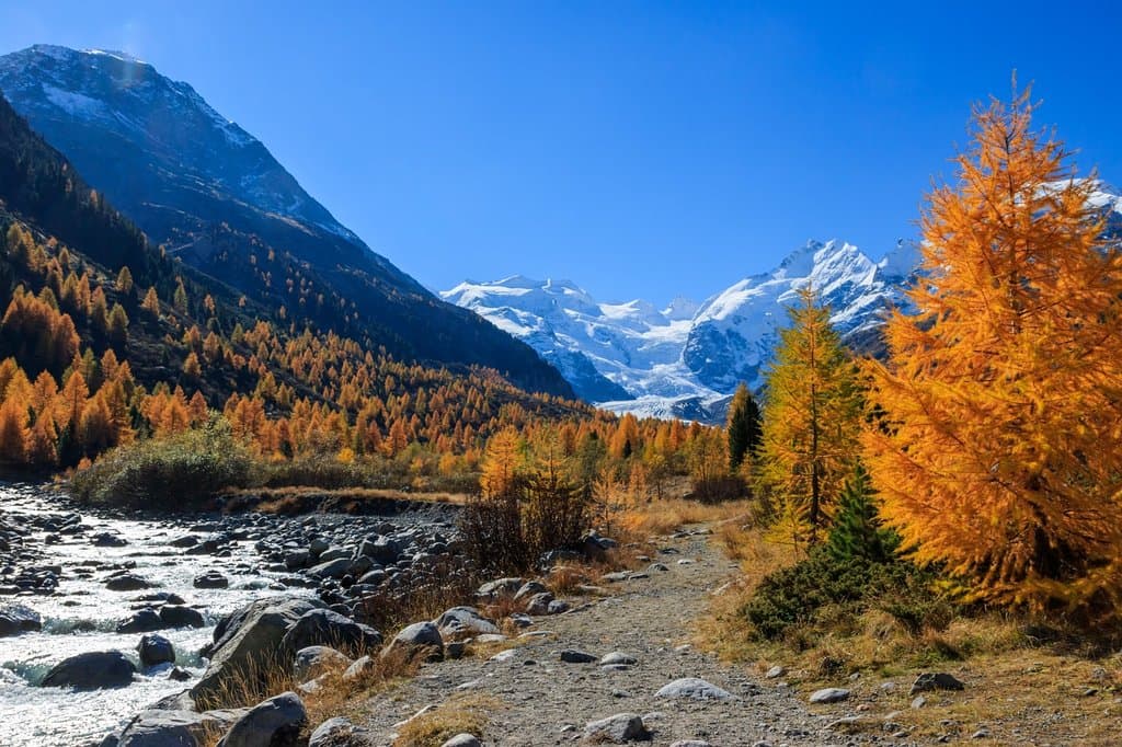 Morteratsch Glacier