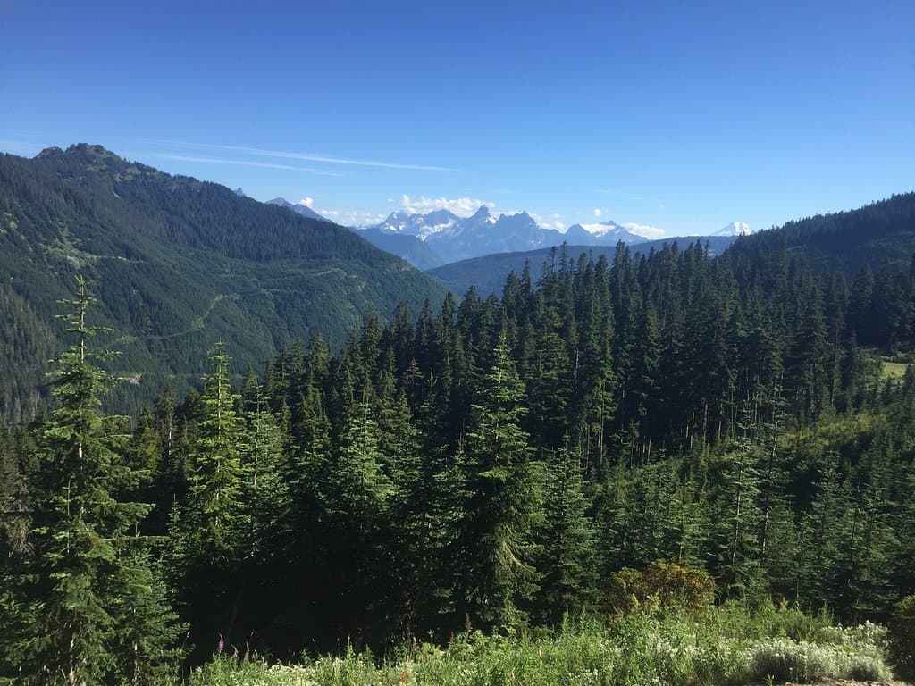 View from Mt. Cheam
