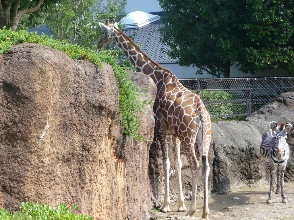 Ishikawa Zoo