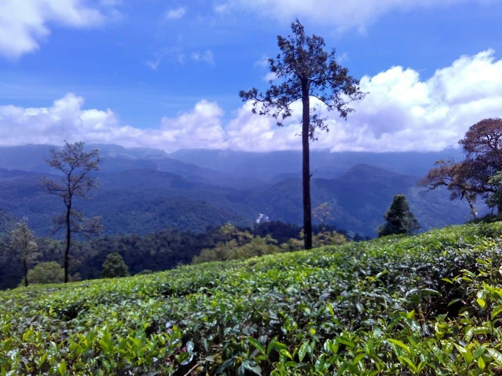 Nallamudi Viewpoint