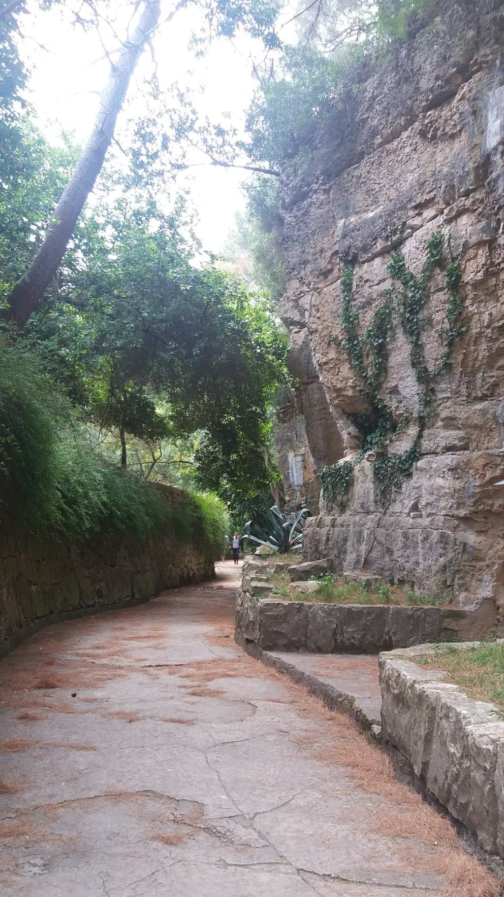 Park walks