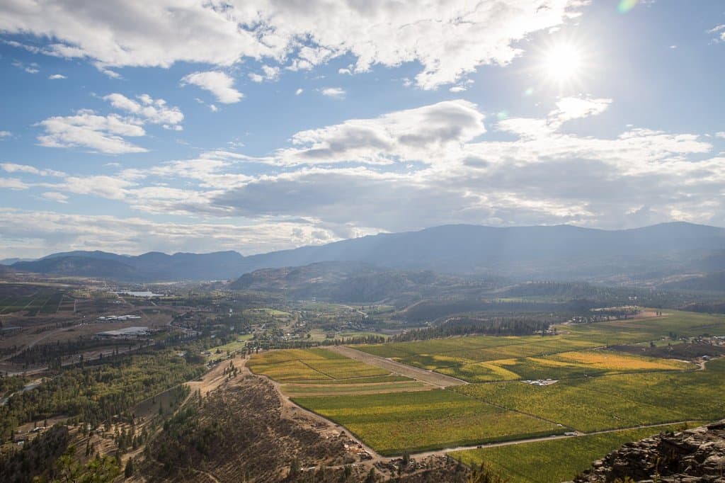 View from the bluff