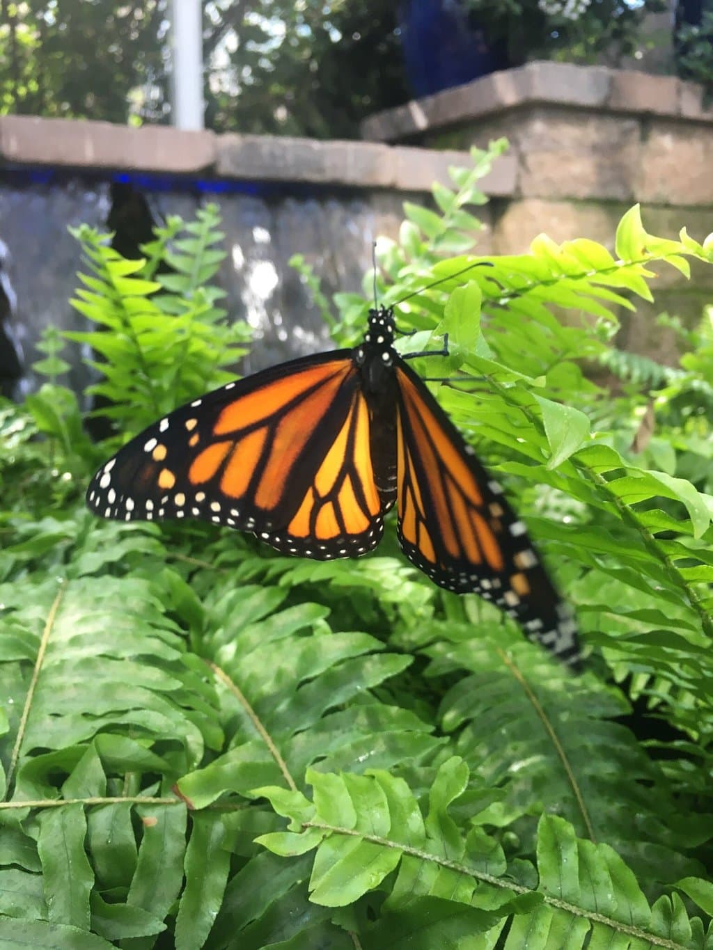 Very nice time the guides were "The Best"