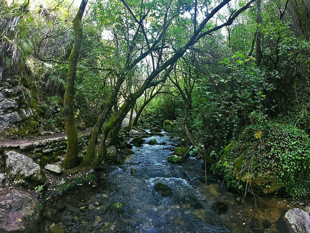 Río Majaceite Trail