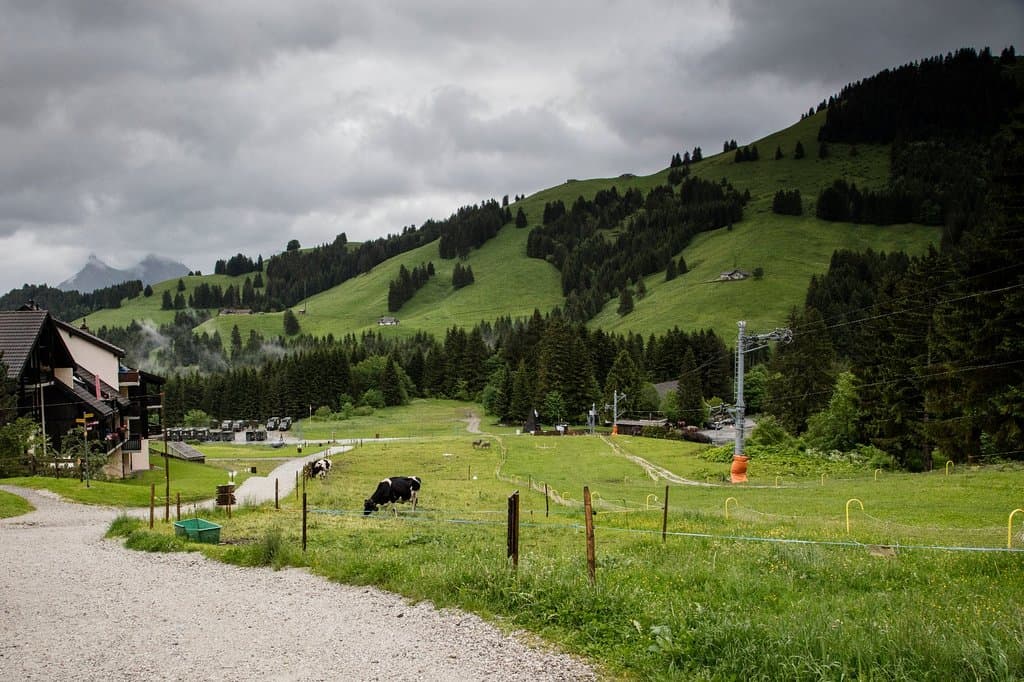 This is the setting of the centuries old cheese factory.