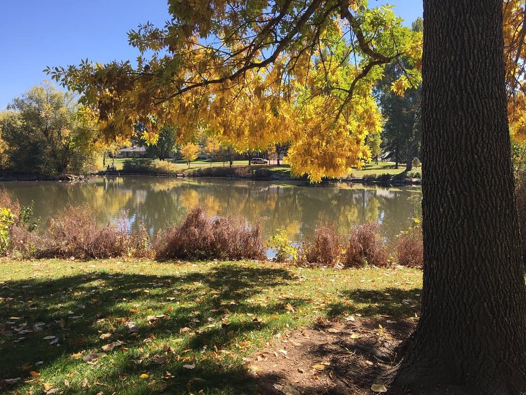 Glenmere Park