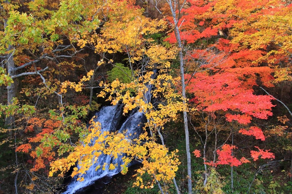 三段の滝　道路に近い所にあります、やはり日陰になってました。