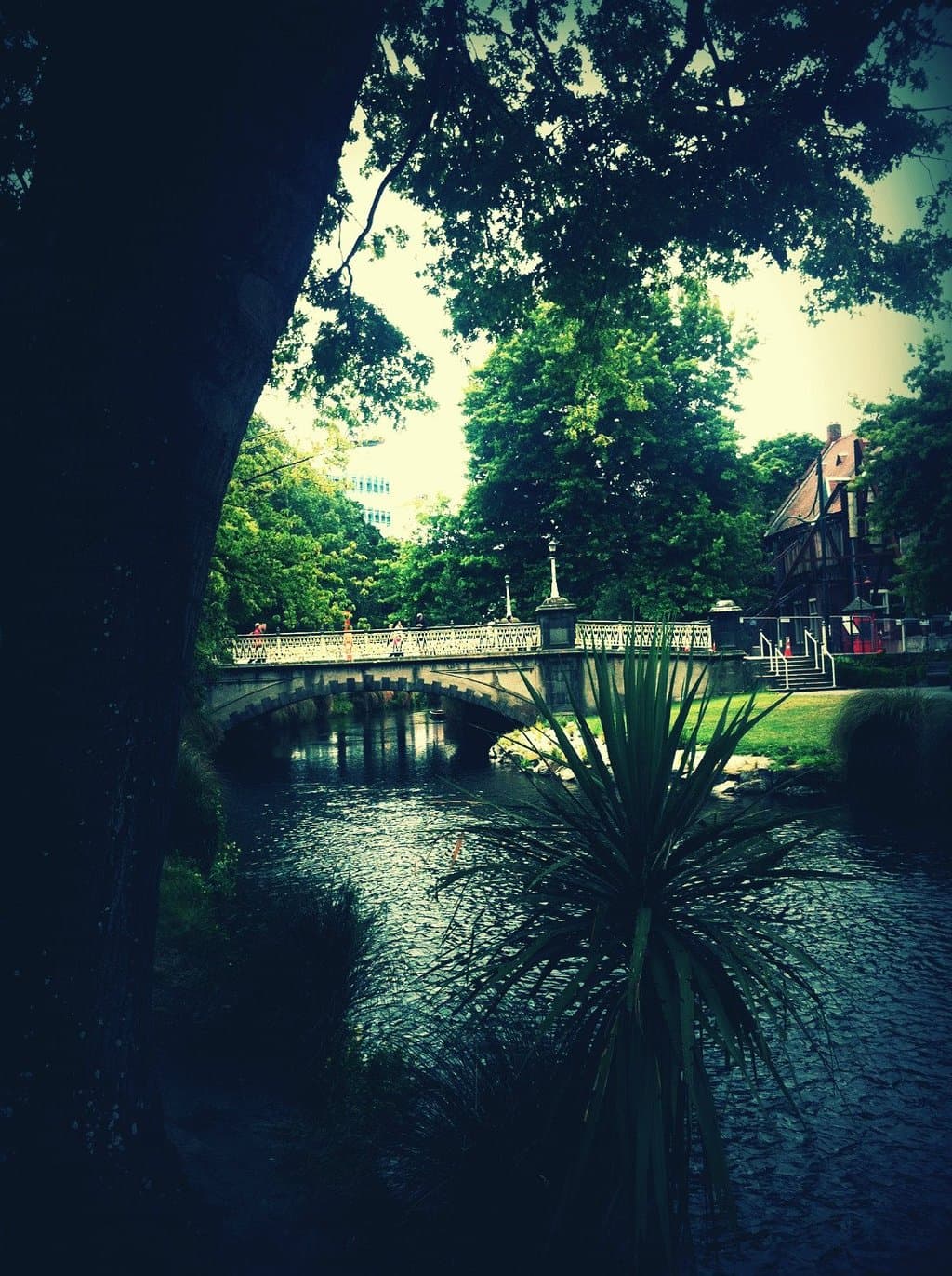 Woodhaugh Gardens