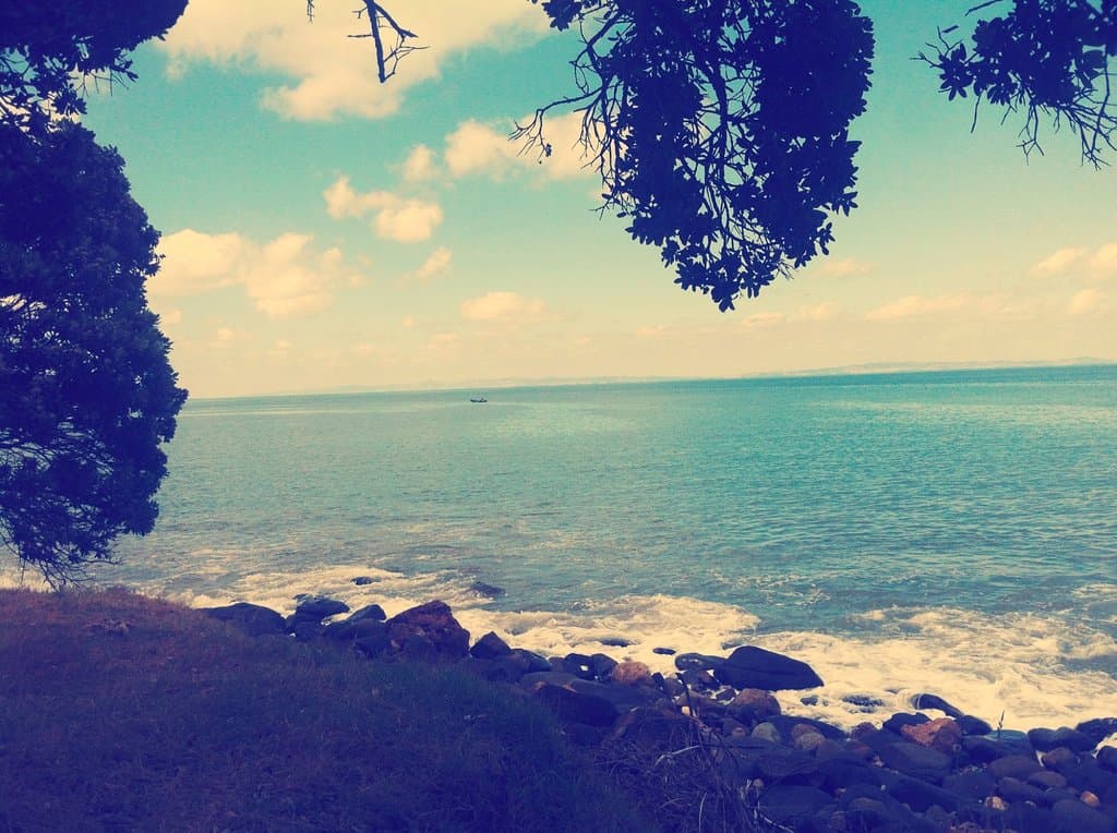 Thames Coastal Walkaway